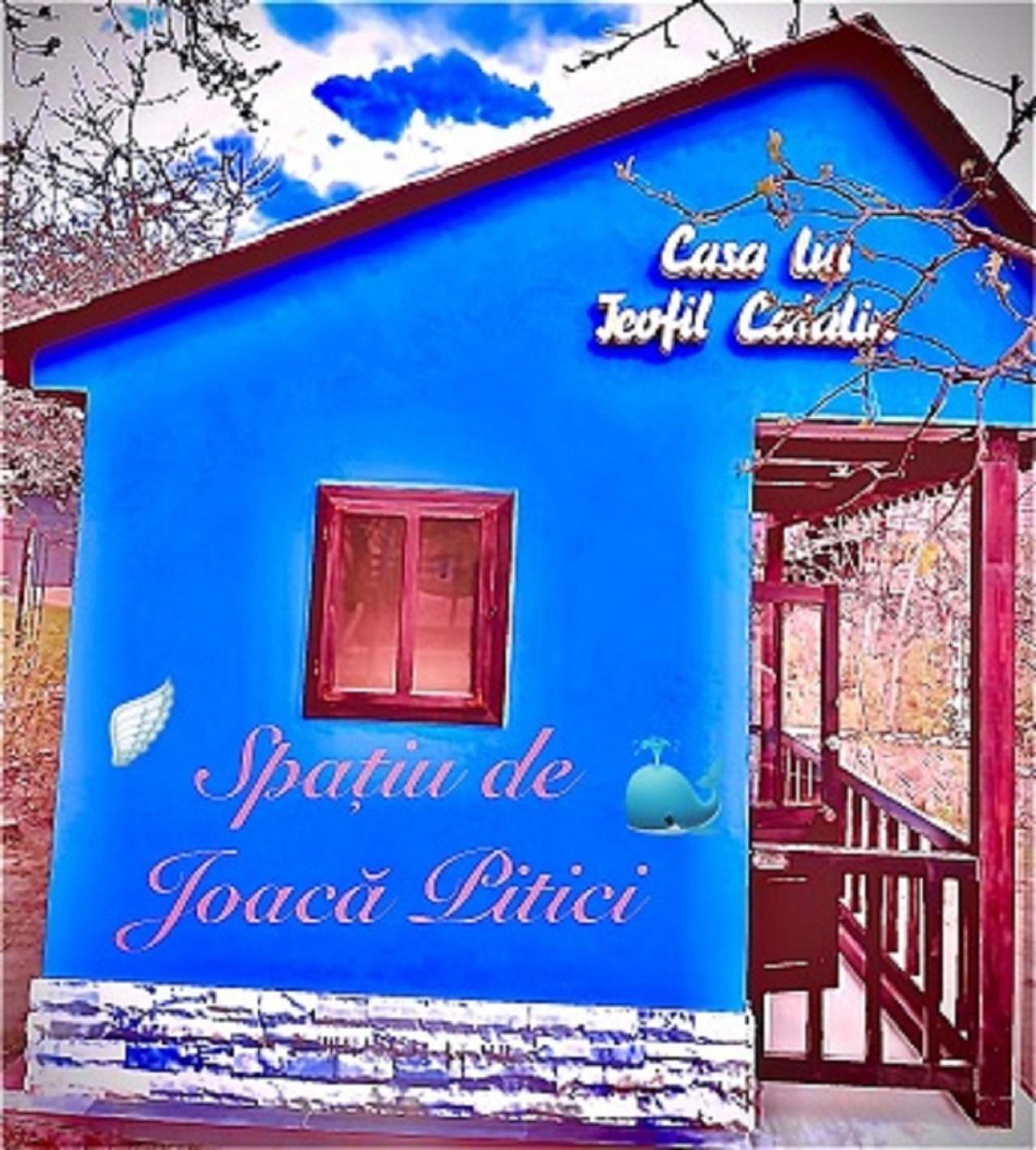 Leaganul Bucovinei Guest House Σουκεάβα Εξωτερικό φωτογραφία